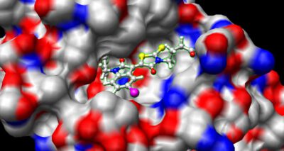 Screening for COVID-19: Japanese Startup Uses AI for Drug Discovery